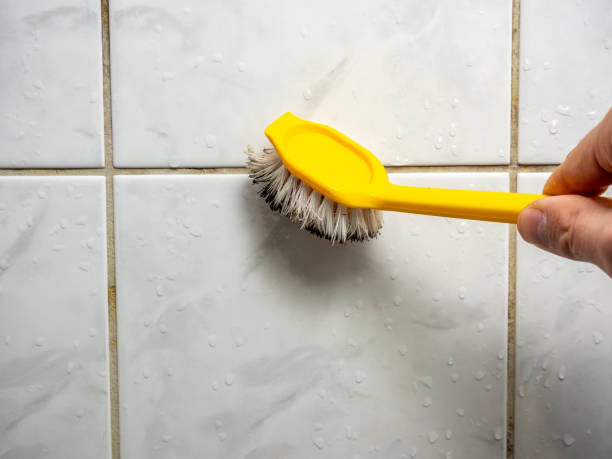 Best Toxic Mold Removal  in Selma, TX
