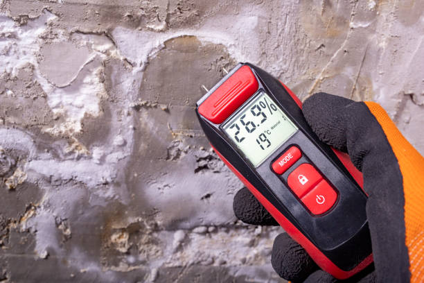 Best Affordable Mold Removal  in Selma, TX