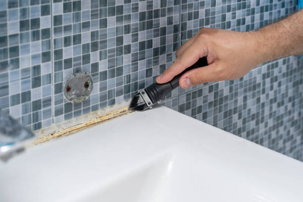 Best Office Mold Removal Services  in Selma, TX