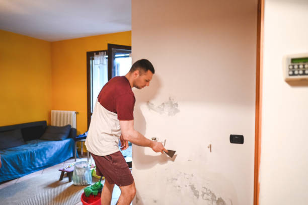 Best Attic Mold Removal  in Selma, TX